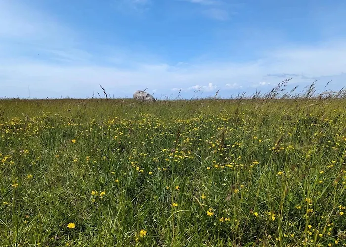 Seaside Escape In - By Traum Ferienhaus *